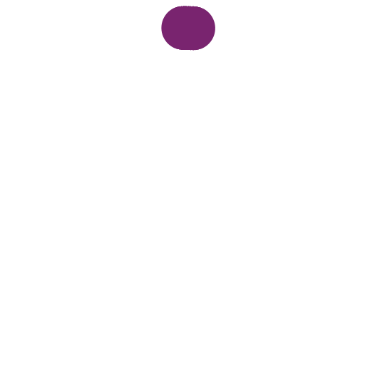 Toro Fon