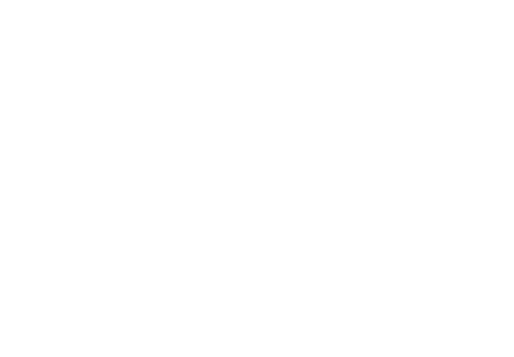 Toro Fon